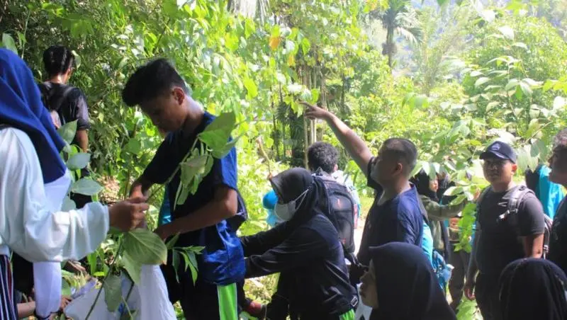 Mahasiswa Farmasi Sambangi Bulango Utara, Pengambilan Sampel Tanaman Obat Bahan Alam