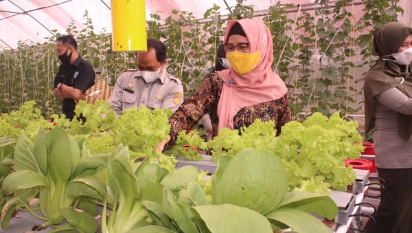Sambangi BPTP Gorontalo, Rektor Kunjungi Laboratorium Penyemaian Bibit Pertanian & Peternakan