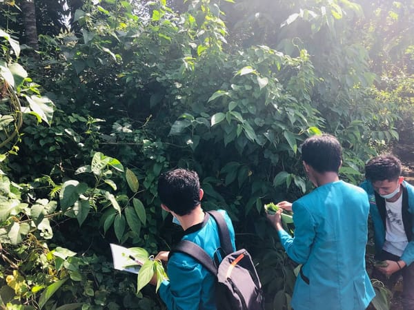 PKL Farmakognosi 1 & Fitokimia 1, Mahasiswa Ambil Sampel Praktikum di Kelurahan Polohungo