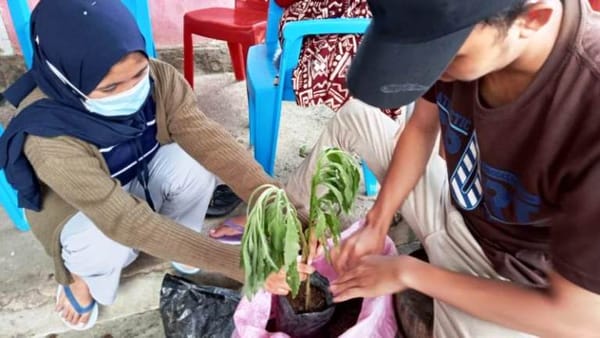 Penanaman TOGA oleh Mahasiswa KKM UBM Gorontalo di Desa Bakida